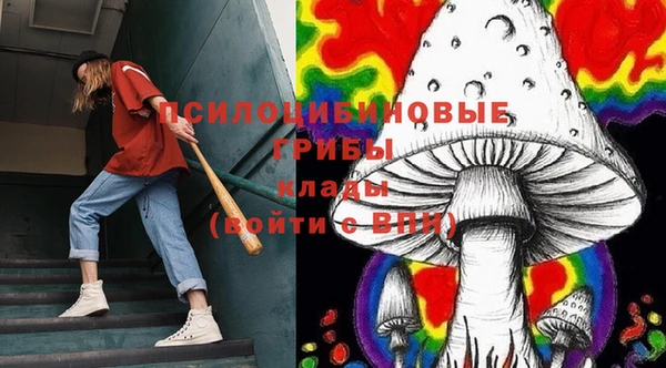 мяу мяу мука Пересвет