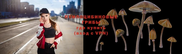 винт Абинск