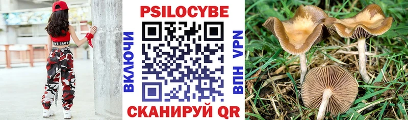 Псилоцибиновые грибы мухоморы Кедровый