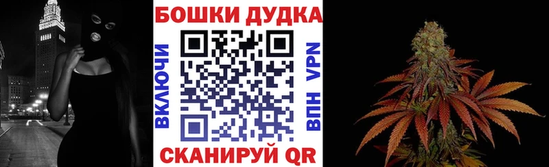 Марихуана OG Kush Кедровый